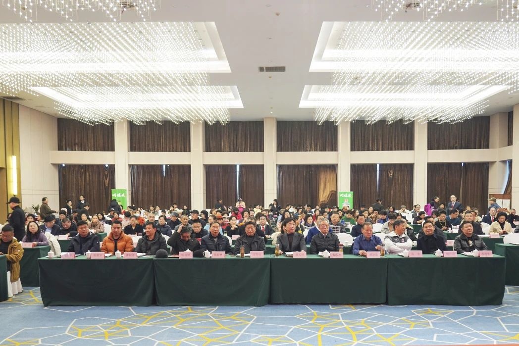 C7娱乐